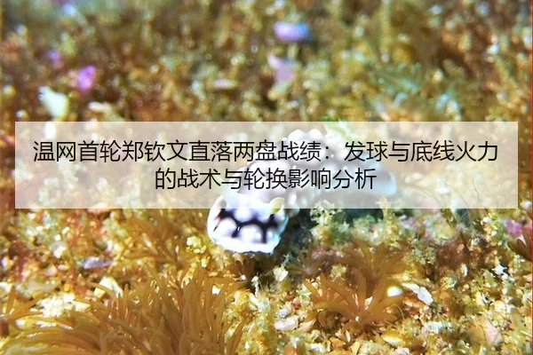 wen-wang-shou-lun-zheng-qin-wen-zhi-luo-liang-pan-zhan-ji-fa-qiu-yu-di-xian-huo-li-de-zhan-shu-yu-lun-huan-ying-xiang-3-577.jpg